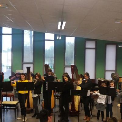Auditions harpes et flûtes 2018