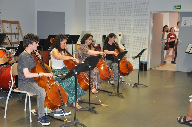 Audiviolon2022 33 1