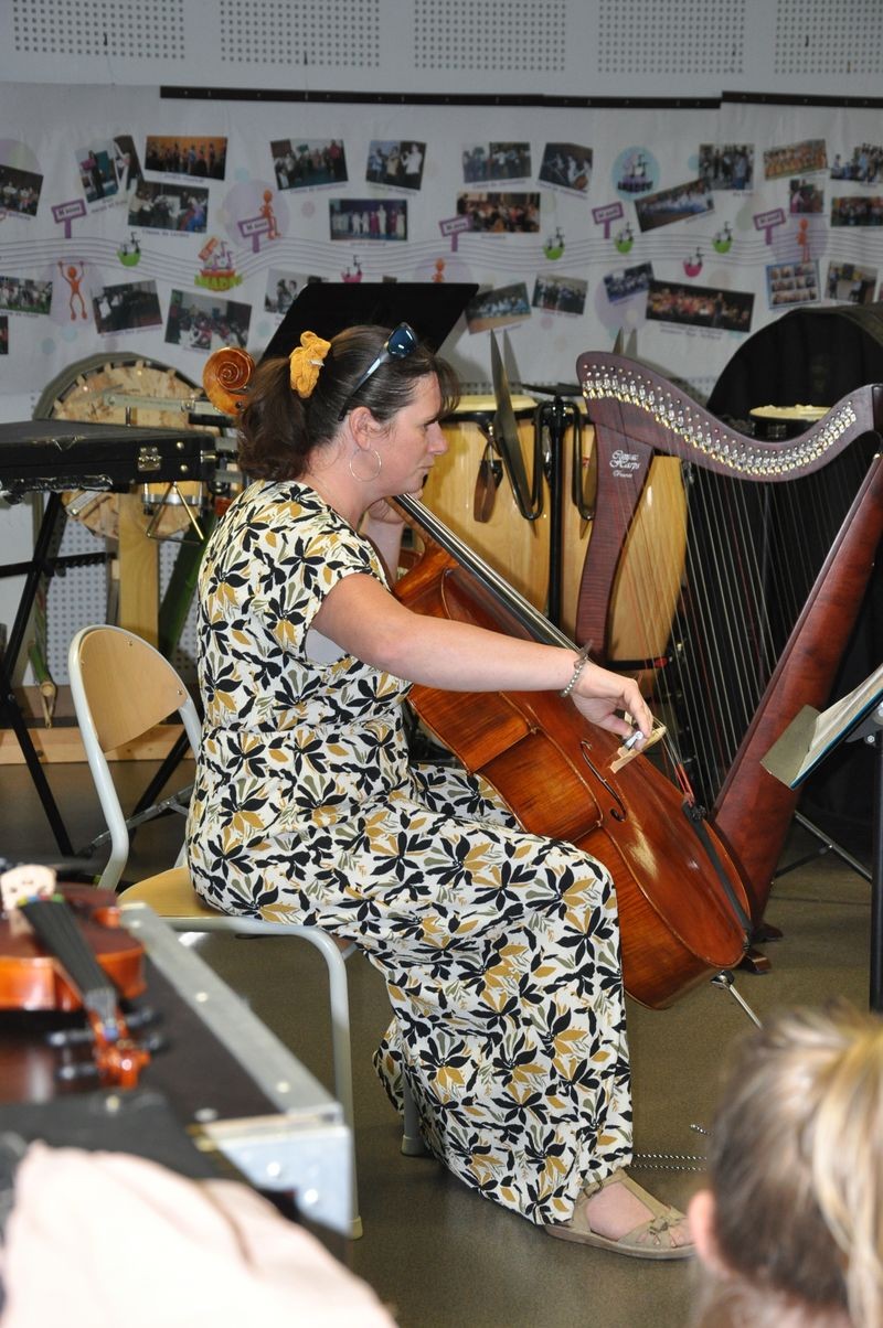 Audiviolonharpevioloncelle 10 