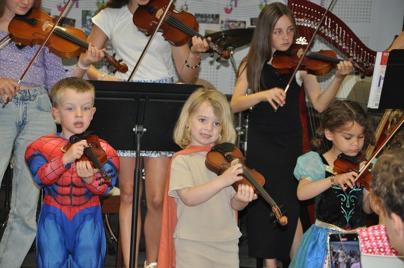 Audiviolonharpevioloncelle 30 