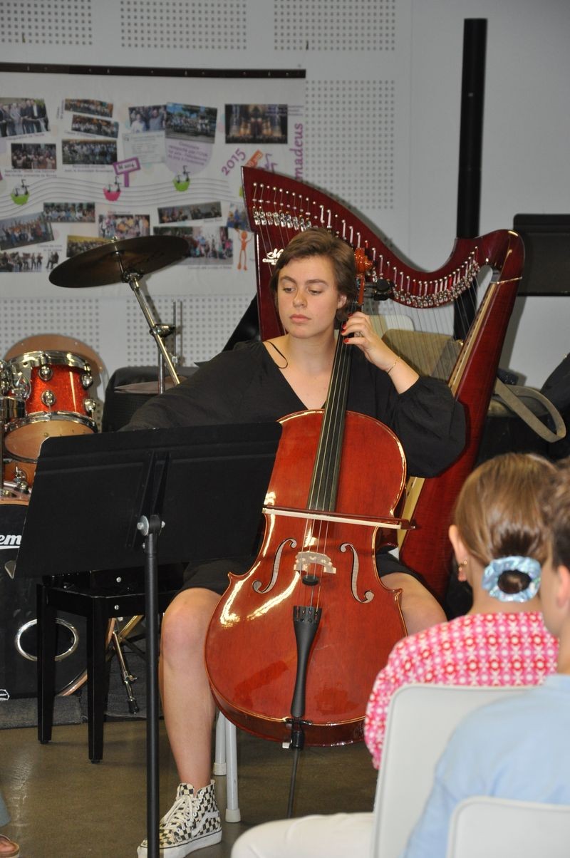 Audiviolonharpevioloncelle 35 