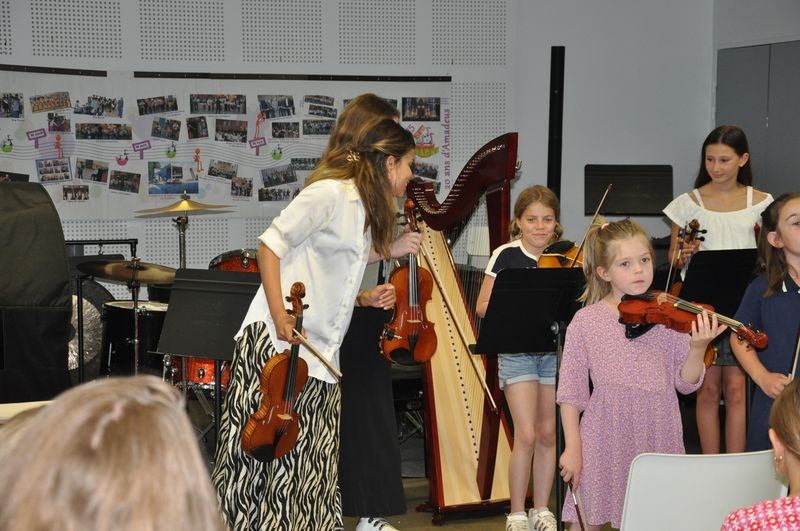 Audiviolonharpevioloncelle 4 