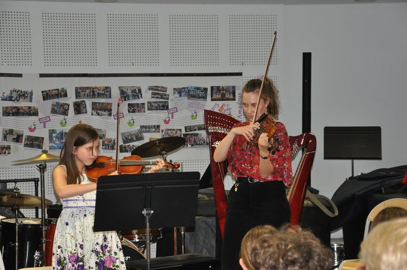 Audiviolonharpevioloncelle 40 