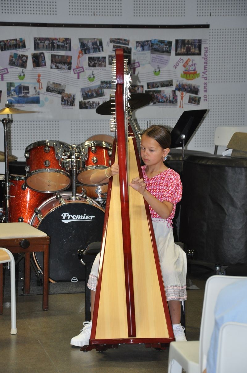 Audiviolonharpevioloncelle 42 