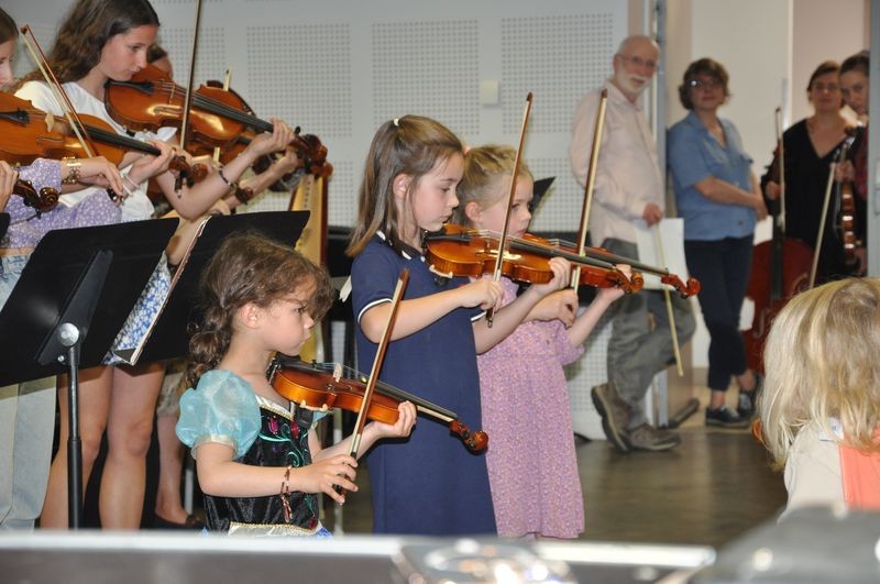 Audiviolonharpevioloncelle 46 