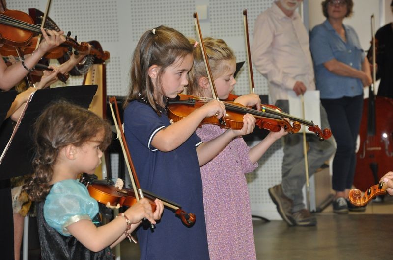 Audiviolonharpevioloncelle 49 