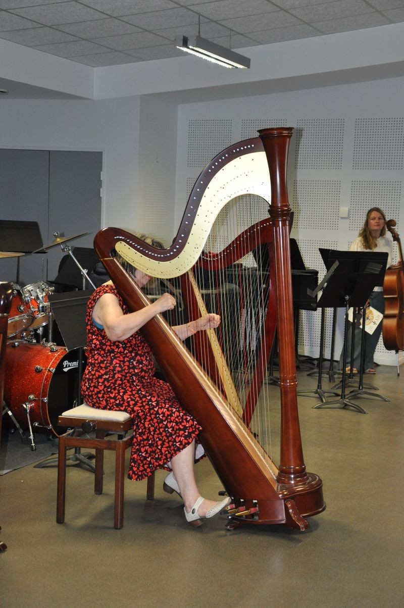 Audiviolonharpevioloncelle 8 