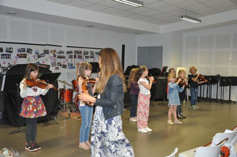 Audiviolonvioloncelle 14 