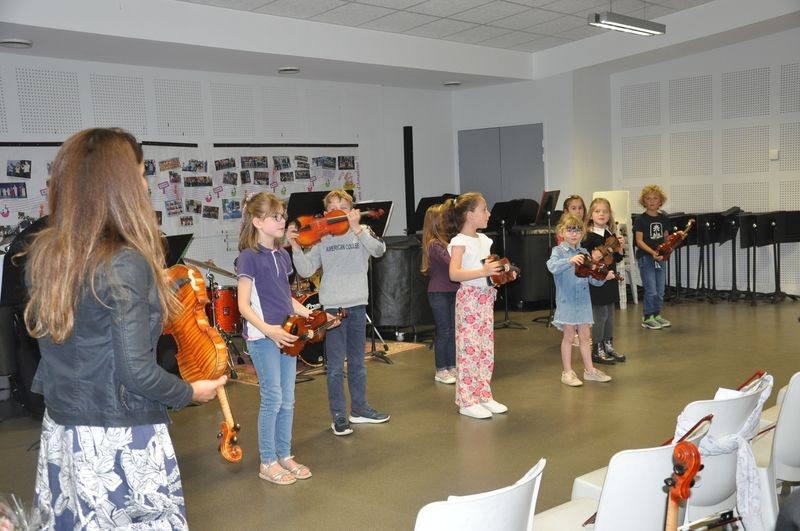 Audiviolonvioloncelle 16 
