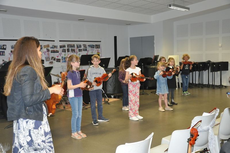Audiviolonvioloncelle 17 