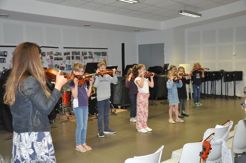 Audiviolonvioloncelle 18 