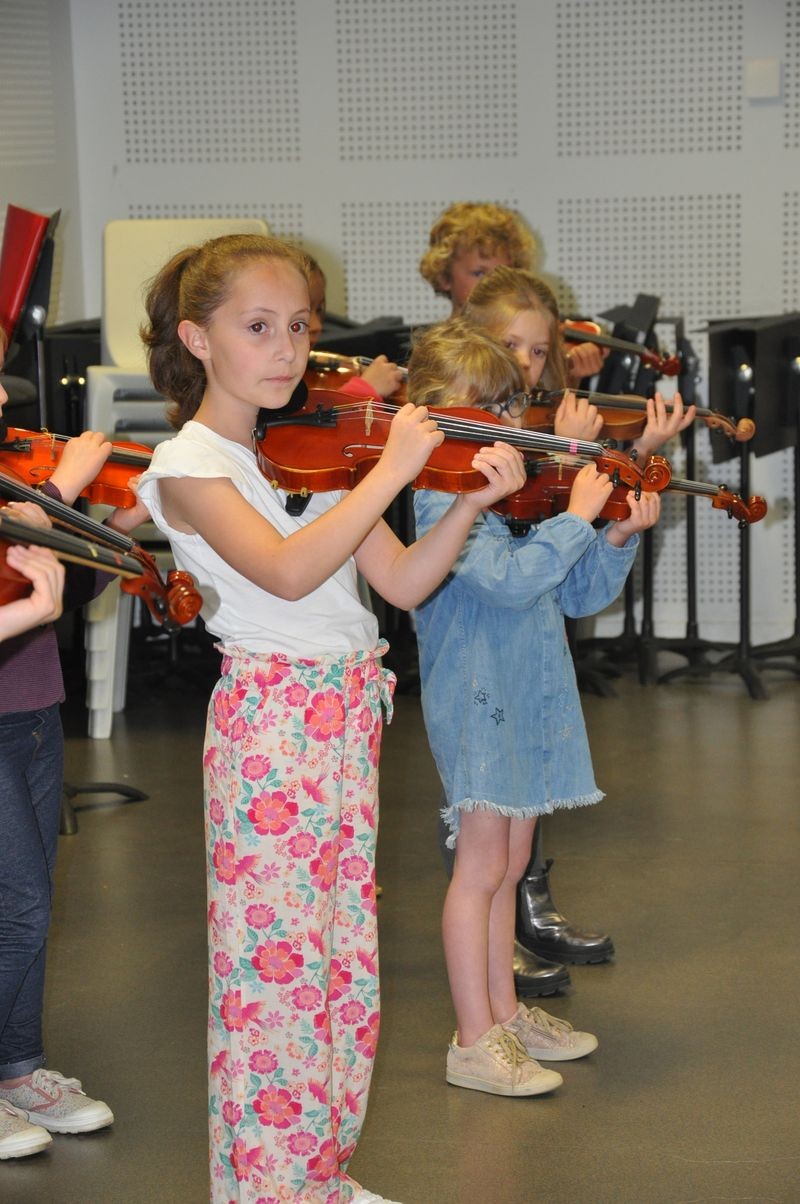 Audiviolonvioloncelle 20 