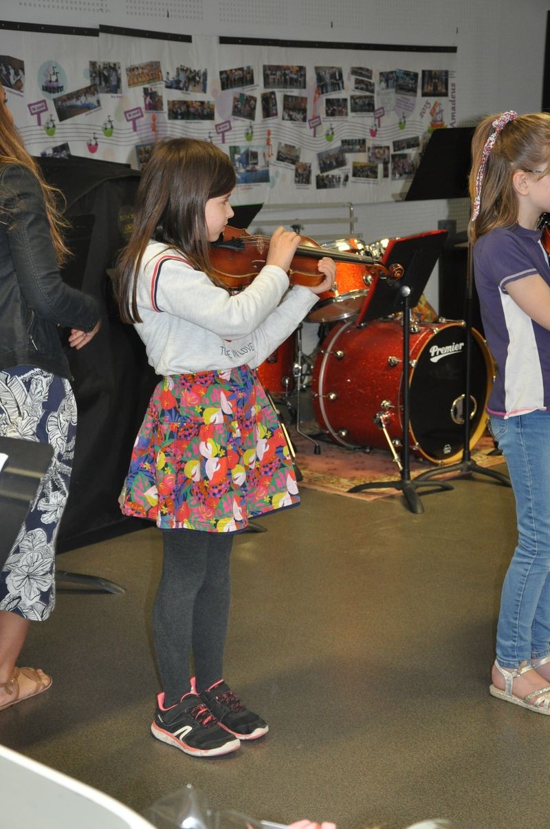 Audiviolonvioloncelle 22 