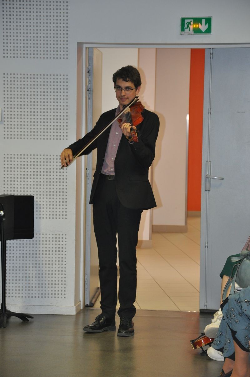 Audiviolonvioloncelle 24 