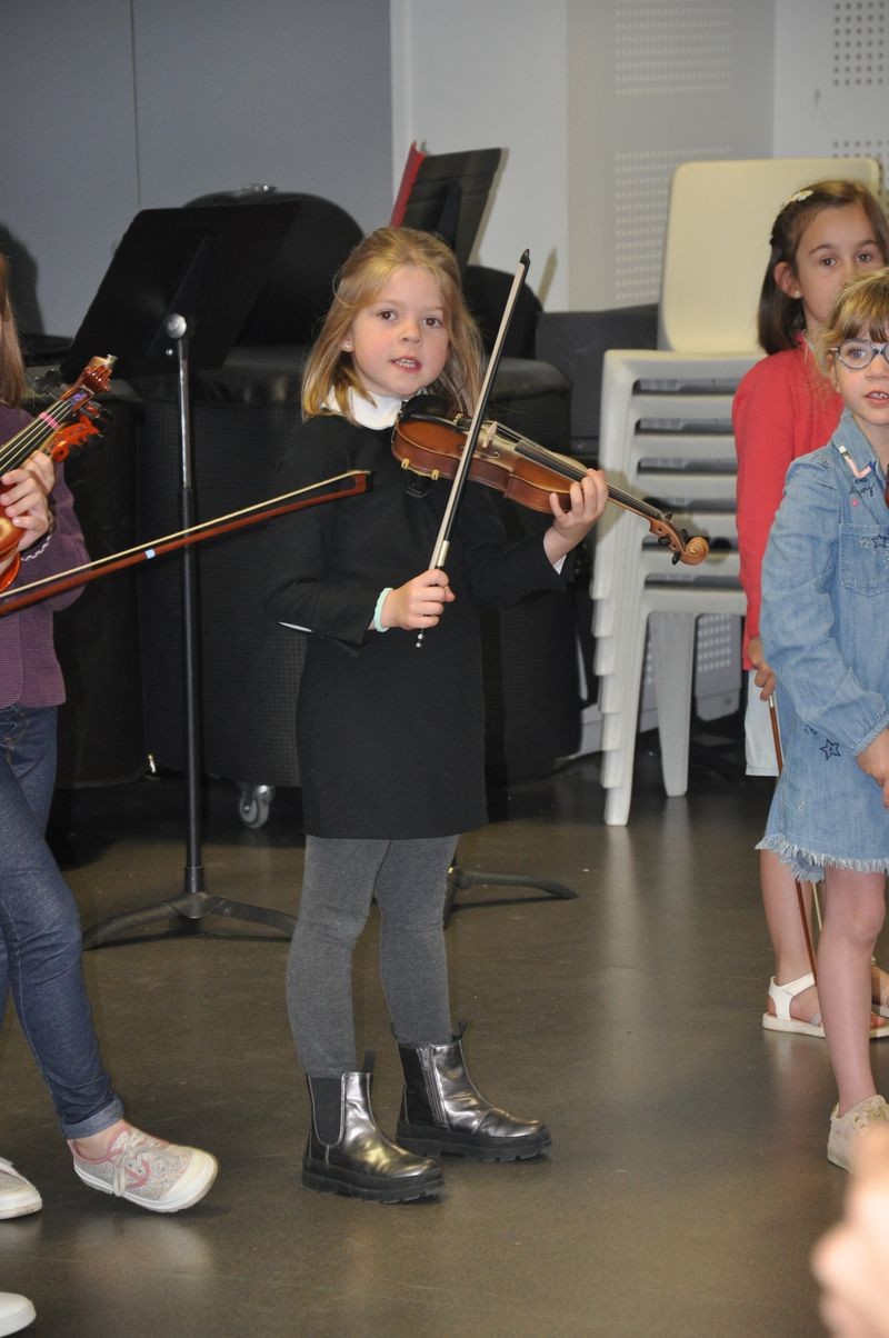 Audiviolonvioloncelle 29 