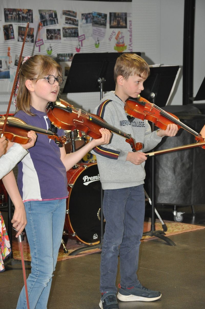 Audiviolonvioloncelle 30 