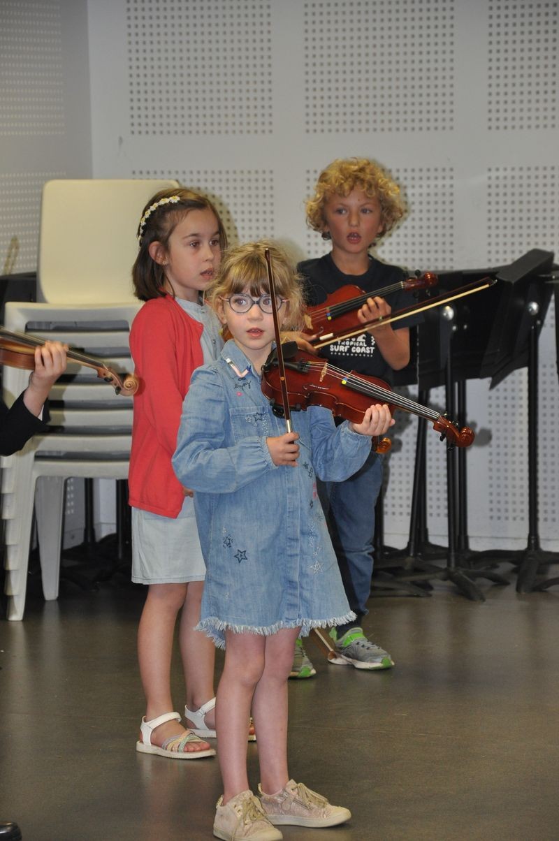Audiviolonvioloncelle 31 