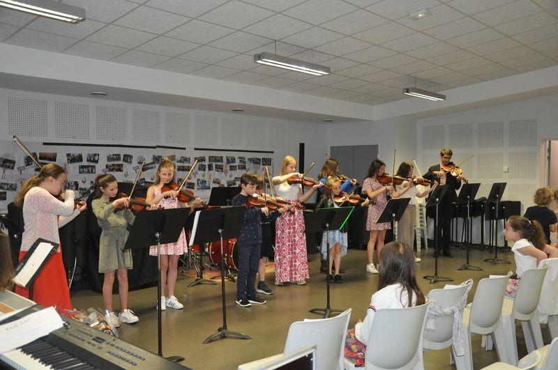 Audiviolonvioloncelle 34 