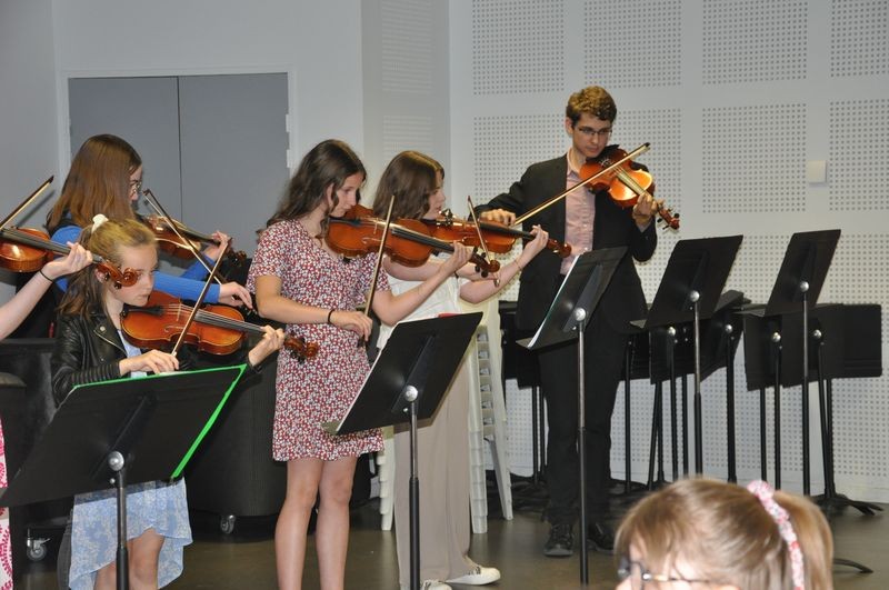 Audiviolonvioloncelle 35 