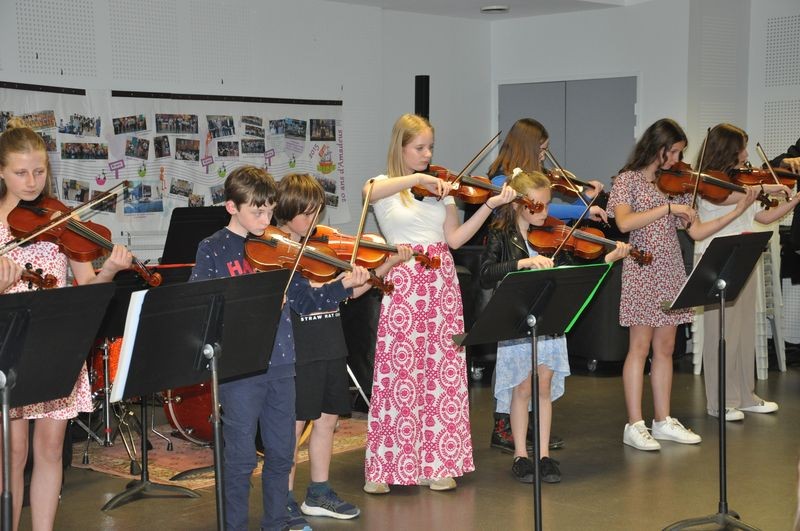 Audiviolonvioloncelle 36 