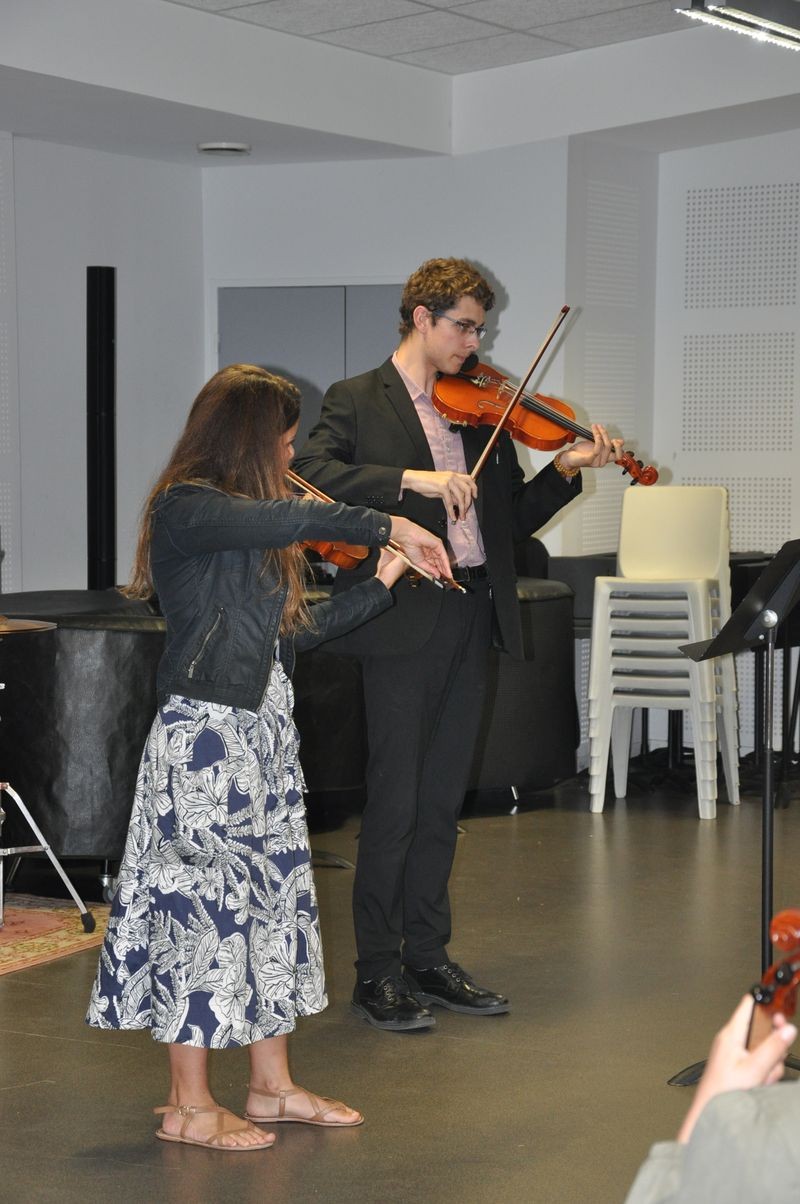 Audiviolonvioloncelle 38 