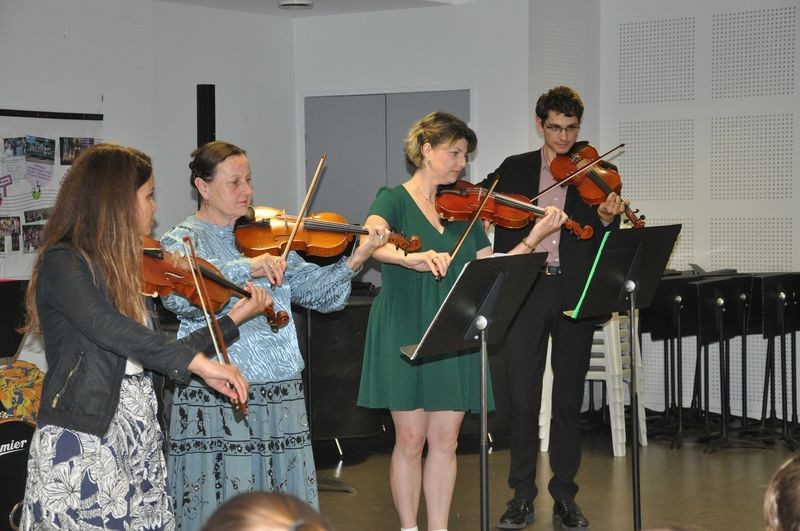 Audiviolonvioloncelle 40 