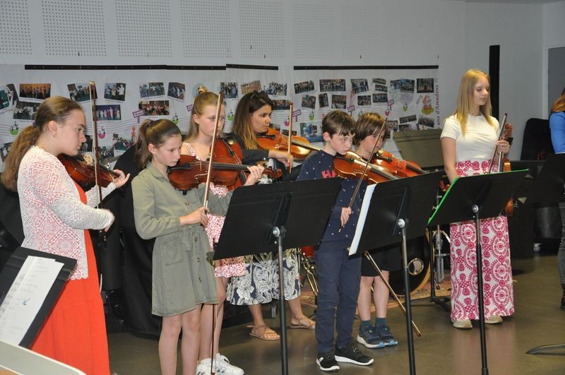 Audiviolonvioloncelle 43 