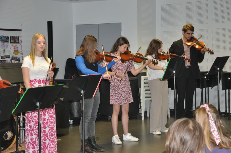 Audiviolonvioloncelle 44 