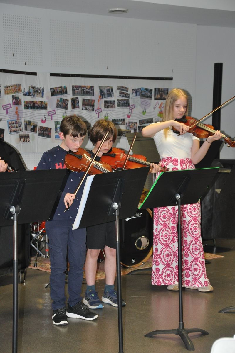 Audiviolonvioloncelle 45 