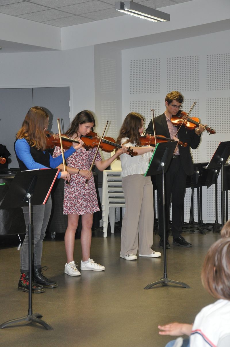 Audiviolonvioloncelle 46 
