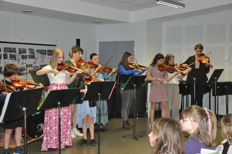 Audiviolonvioloncelle 47 
