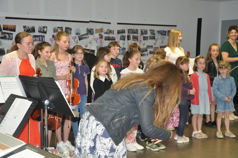 Audiviolonvioloncelle 48 