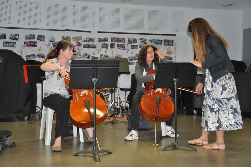 Audiviolonvioloncelle 52 
