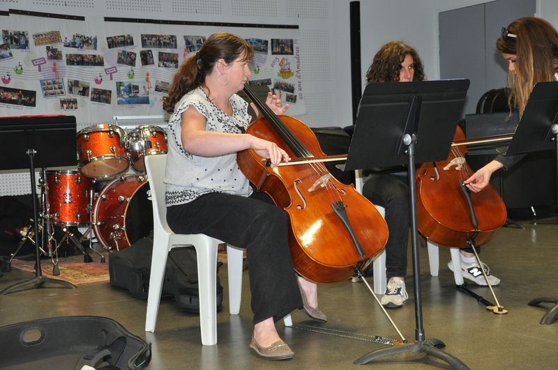 Audiviolonvioloncelle 53 