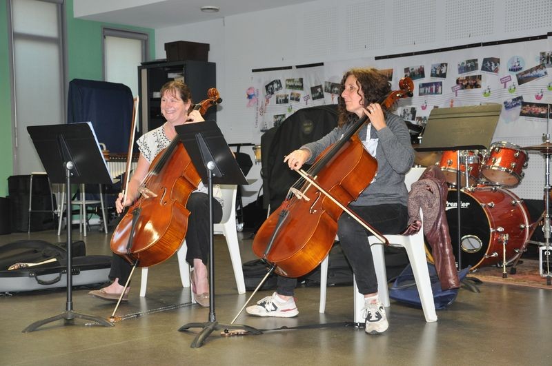Audiviolonvioloncelle 55 