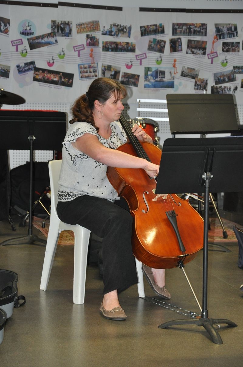 Audiviolonvioloncelle 56 