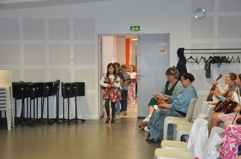 Audiviolonvioloncelle 7 