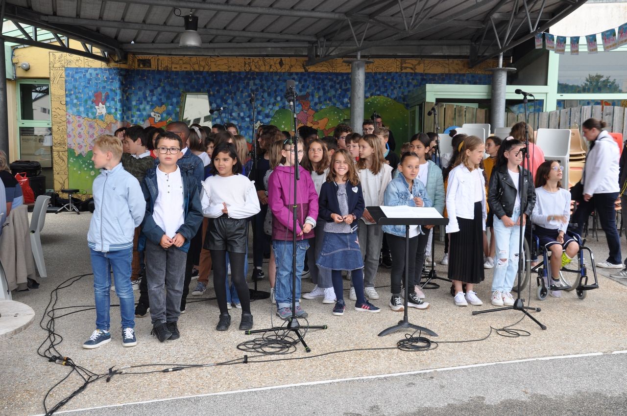 Citedesdodos 15 