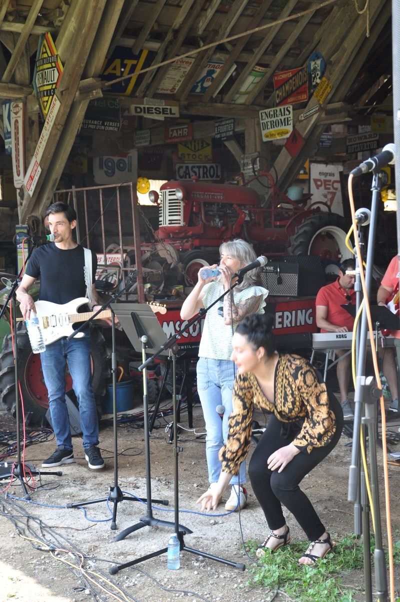 Festijazz6 75 