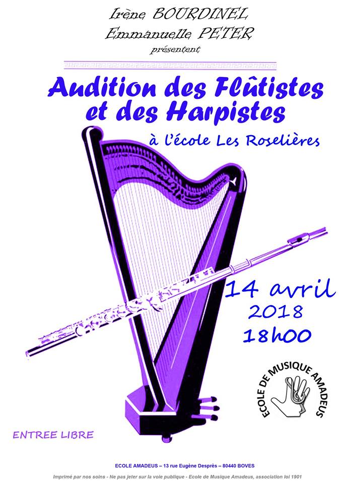 Flute harpe