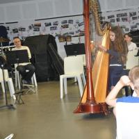Audiguitareharpechant 20 