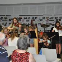 Audiviolonharpevioloncelle 1 