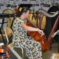 Audiviolonharpevioloncelle 10 