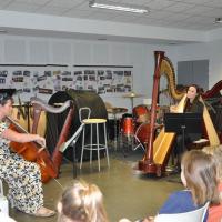 Audiviolonharpevioloncelle 11 