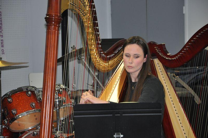Audiviolonharpevioloncelle 12