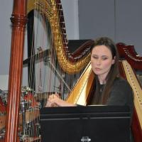 Audiviolonharpevioloncelle 12 