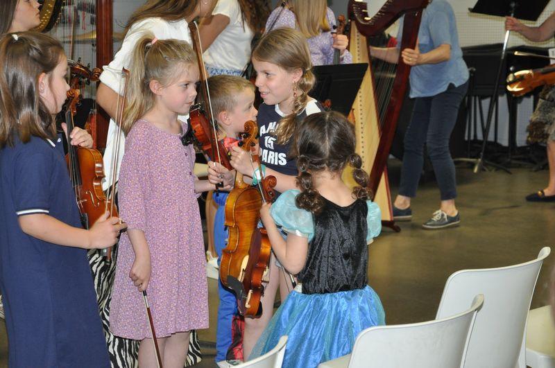 Audiviolonharpevioloncelle 14