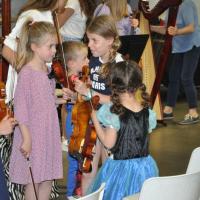 Audiviolonharpevioloncelle 14 