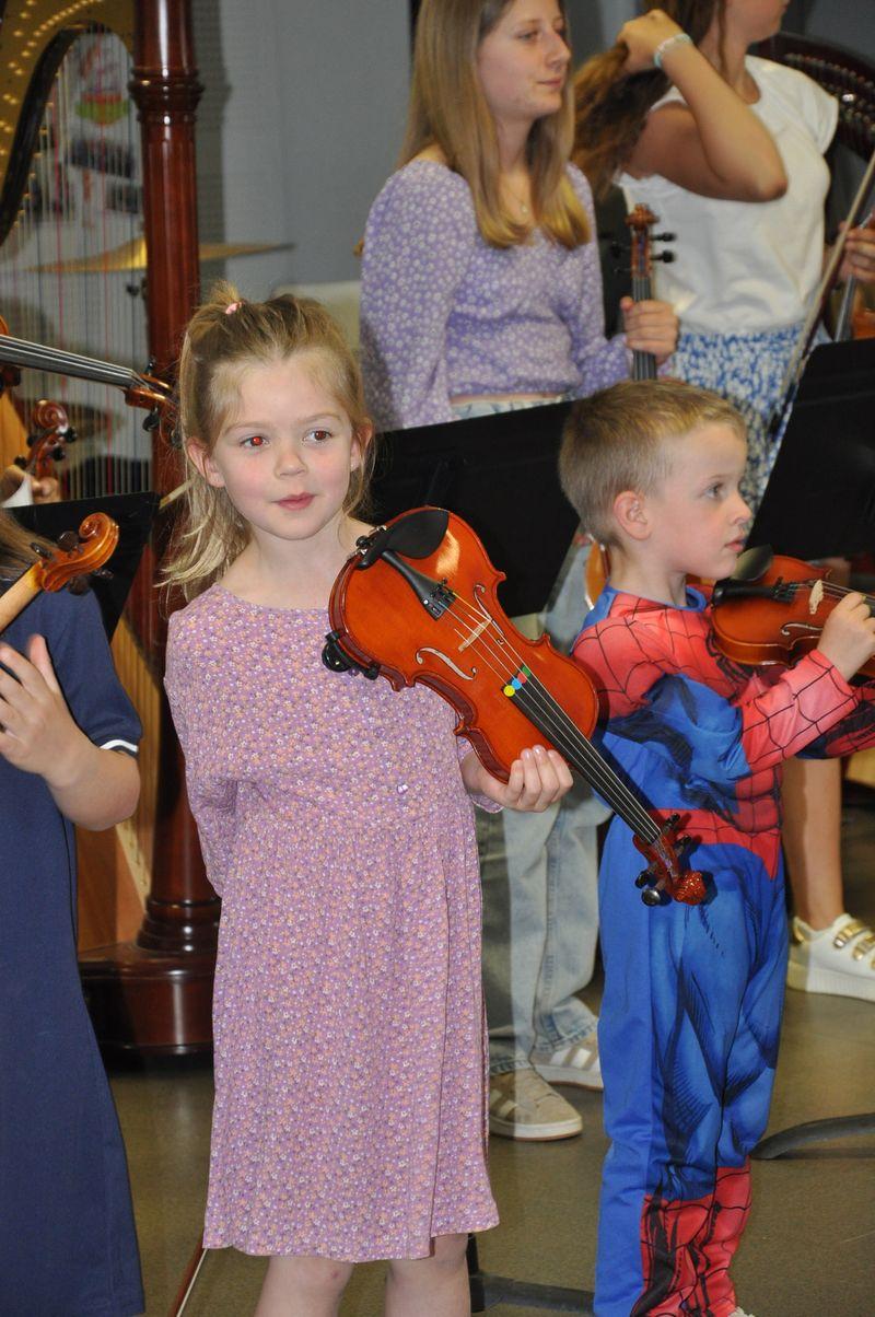 Audiviolonharpevioloncelle 15