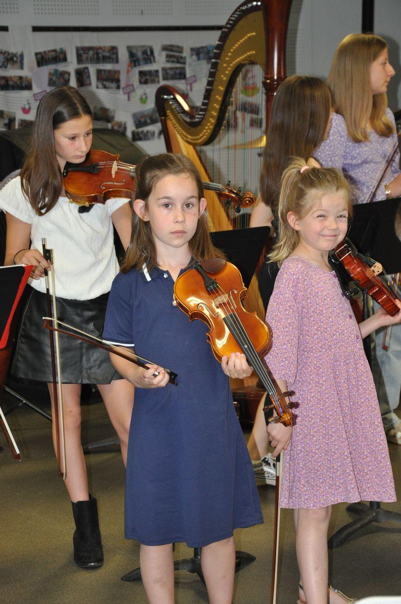 Audiviolonharpevioloncelle 16